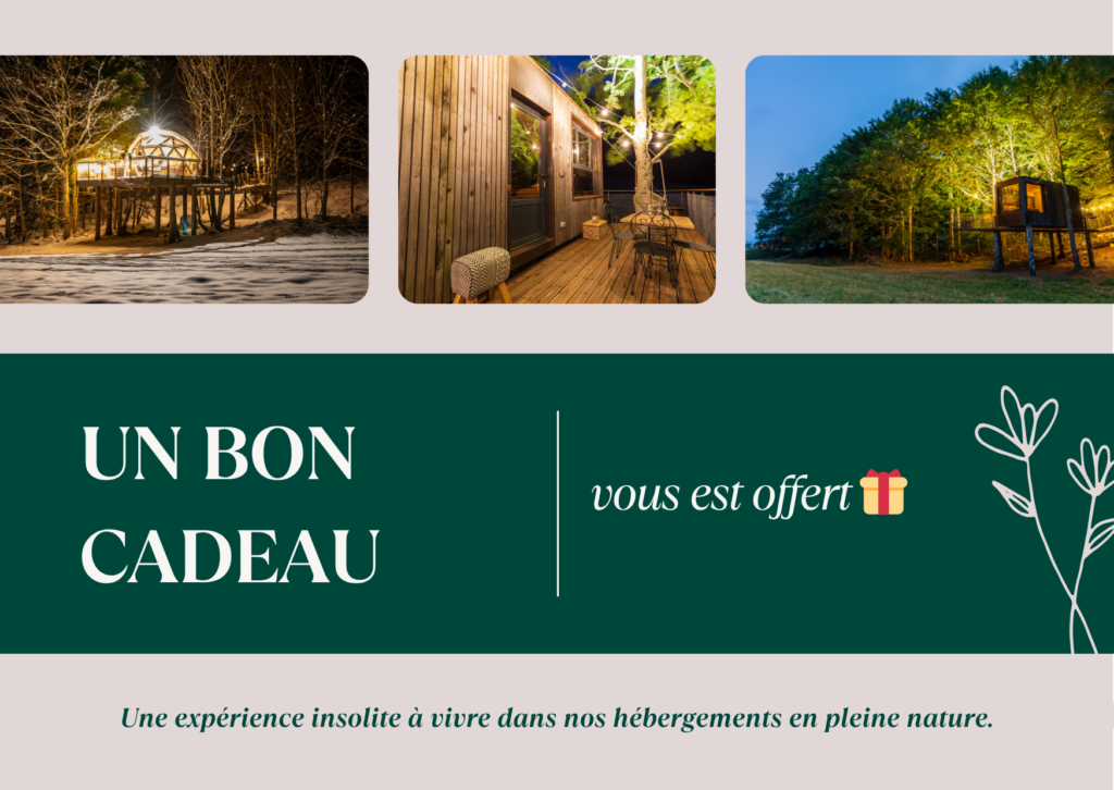 Chèque cadeau cabane, dôme