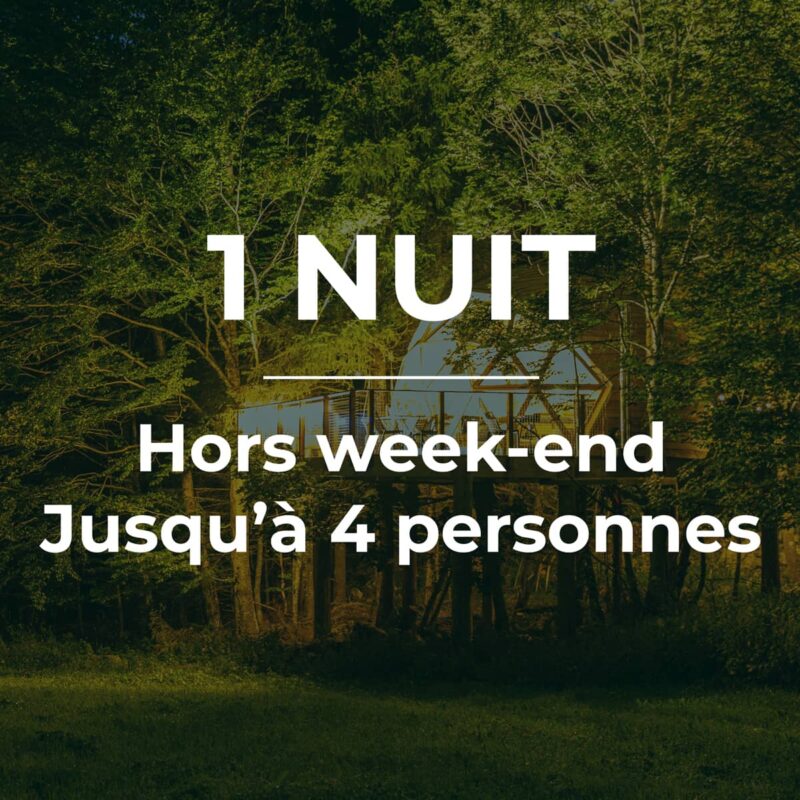 Bon cadeau pour 1 nuit en dôme, hors week-end, jusqu'à 4 personnes