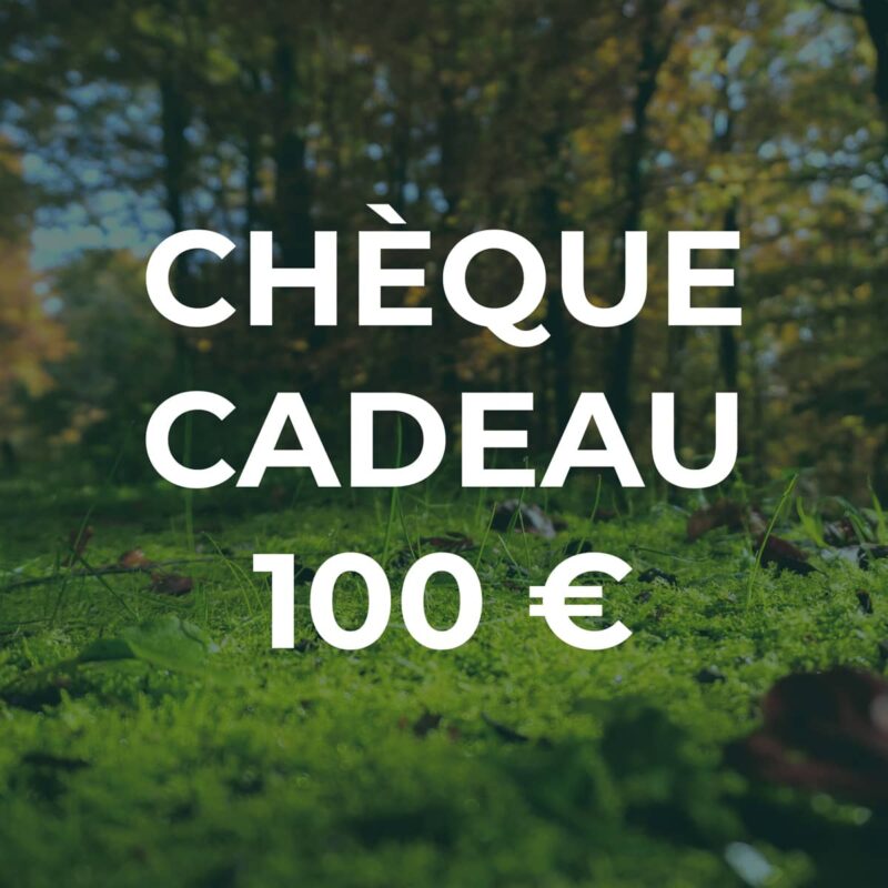 Chèque cadeau de 100 €